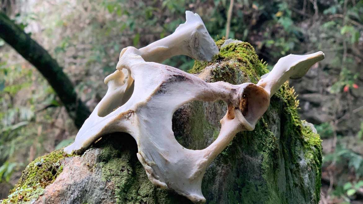 煉金是自我修煉，為的是實現靈魂的渴望