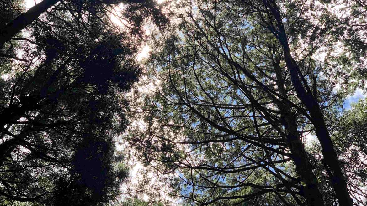 2025 的最後一天