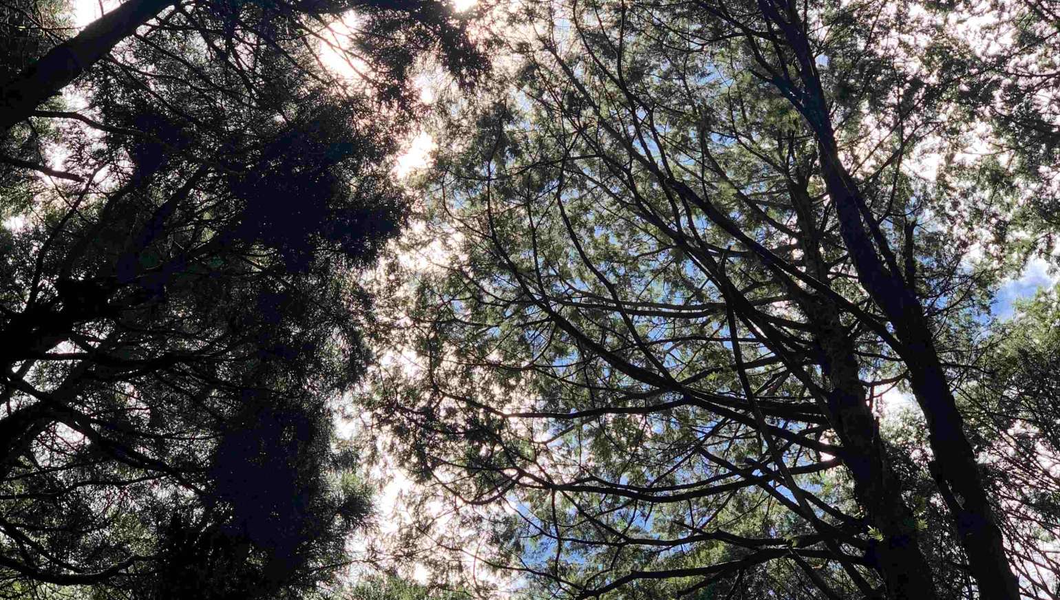 2025 的最後一天