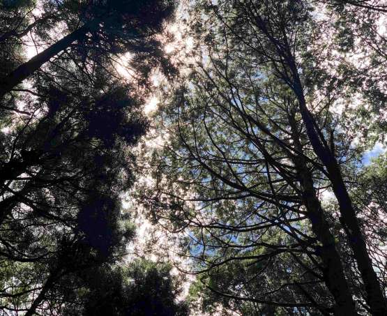 2025 的最後一天