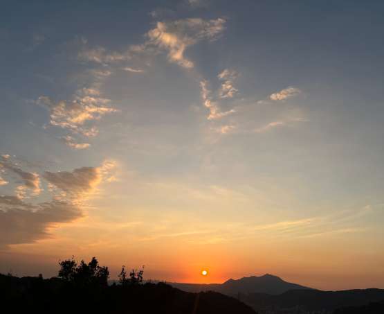 密涅瓦的貓頭鷹，總要等到黃昏降臨才起飛